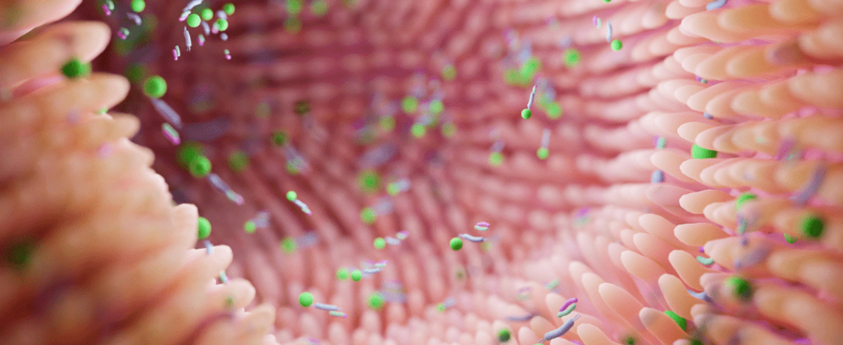 L’intestin et les maladies de peau